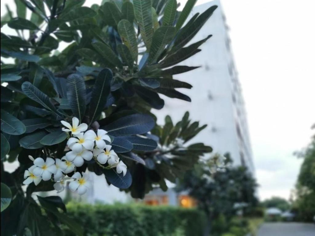 The Park Hotel Паттайя Экстерьер фото